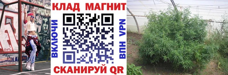 Виды наркотиков купить Усть-Лабинск Alpha PVP  Меф мяу мяу  блэк спрут зеркало  Гашиш  Каннабис  КОКАИН 