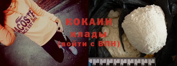 прущие грибы Абаза