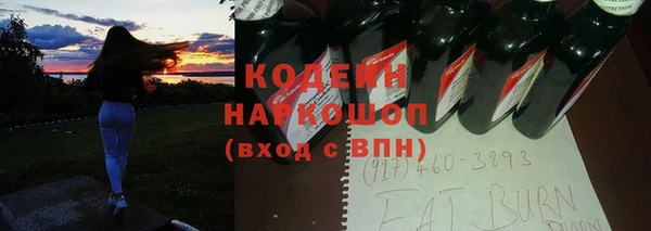 прущие грибы Абаза