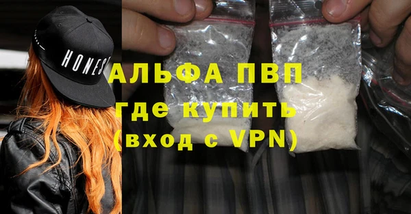 прущие грибы Абаза