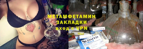 прущие грибы Абаза