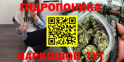 трава Чебоксары