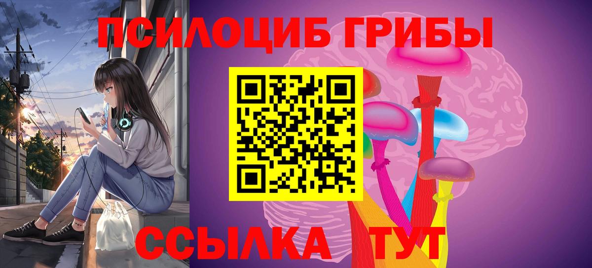 Псилоцибиновые грибы мицелий Усть-Лабинск