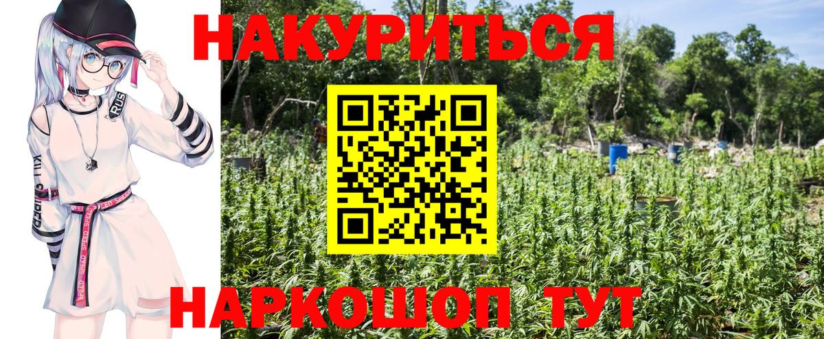 Конопля Amnesia  Марихуана план  Вход с VPN  Конопля сатива  Усть-Лабинск 